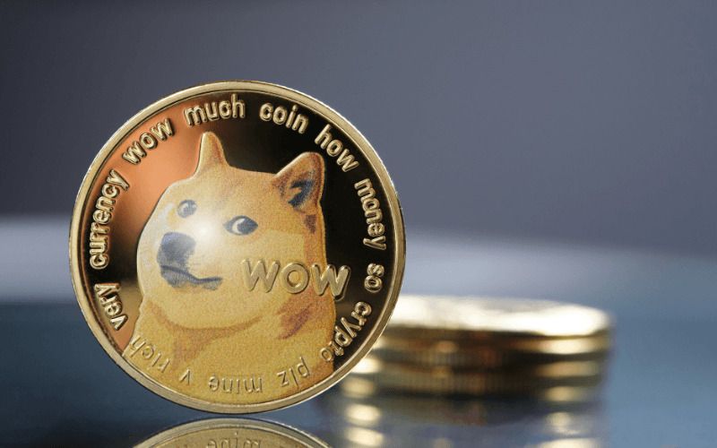 DOGE Coin������