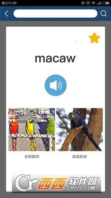 Ӣ����ʵ������ֻ����ͼ