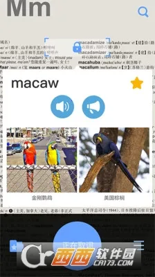 Ӣ����ʵ������ֻ����ͼ