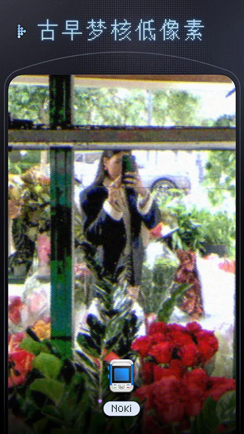 OldReel��֡DV�������������ͼ