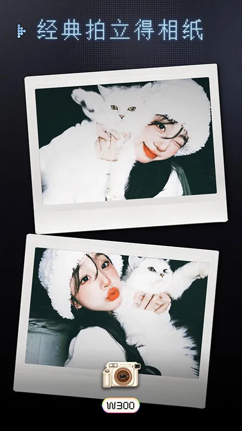 OldReel��֡DV�������������ͼ