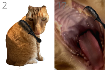 ��è��ë��ϷbrushJjaemu