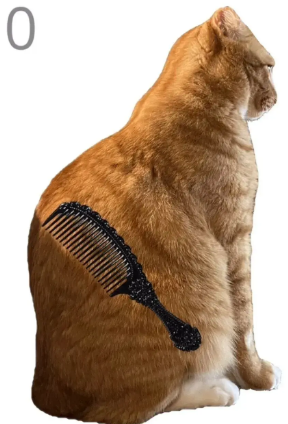 ��è��ë��ϷbrushJjaemu