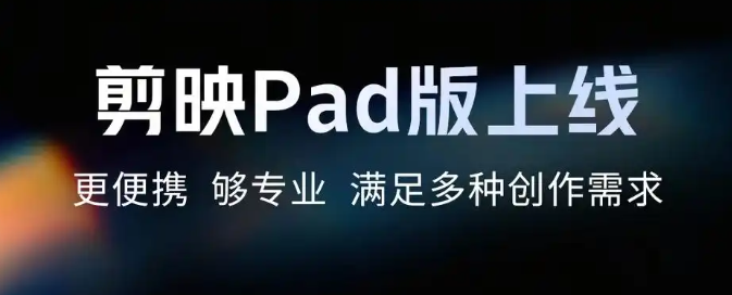��ӳpadרҵ��