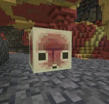 Minecraft�ҵ�������ʲ��԰氲װ�����İ�
