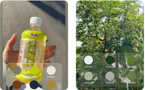Photo.Colors���������Ƭ