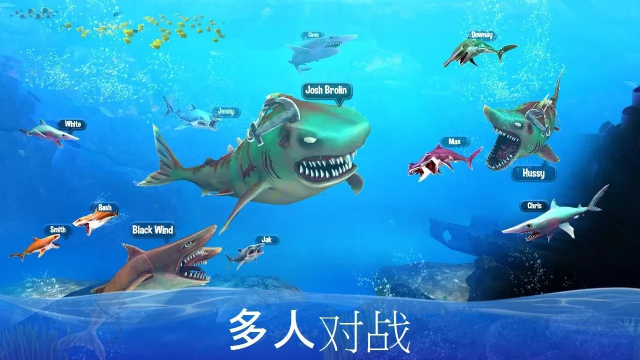 ˫ͷ���㹥�����޽����ʯ��