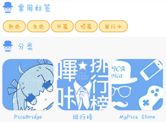 MyPica����