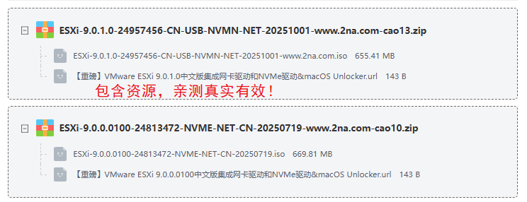 VMware ESXi 9.0.1.0中文版集成网卡驱动和NVMe驱动&macOS Unlocker VMware ESXi 9.0.1.0中文版集成网卡驱动和NVMe驱动&macOS Unlocker