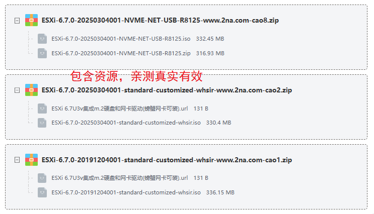 ESXi 6.7.0�������������з����