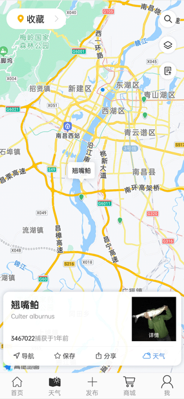 渔获潮汐天气预报 渔获潮汐天气预报