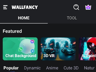 WallFancy������