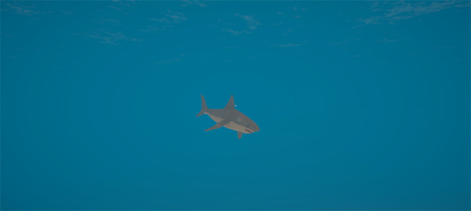 ���г�ģ����