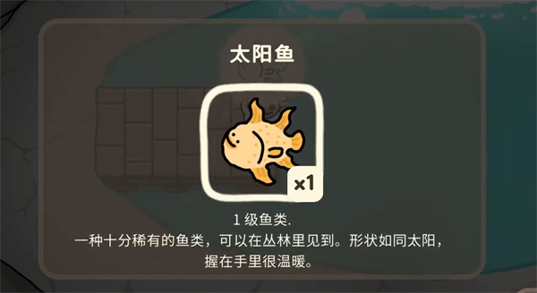 �¹�������ɭ��ͼƬ12