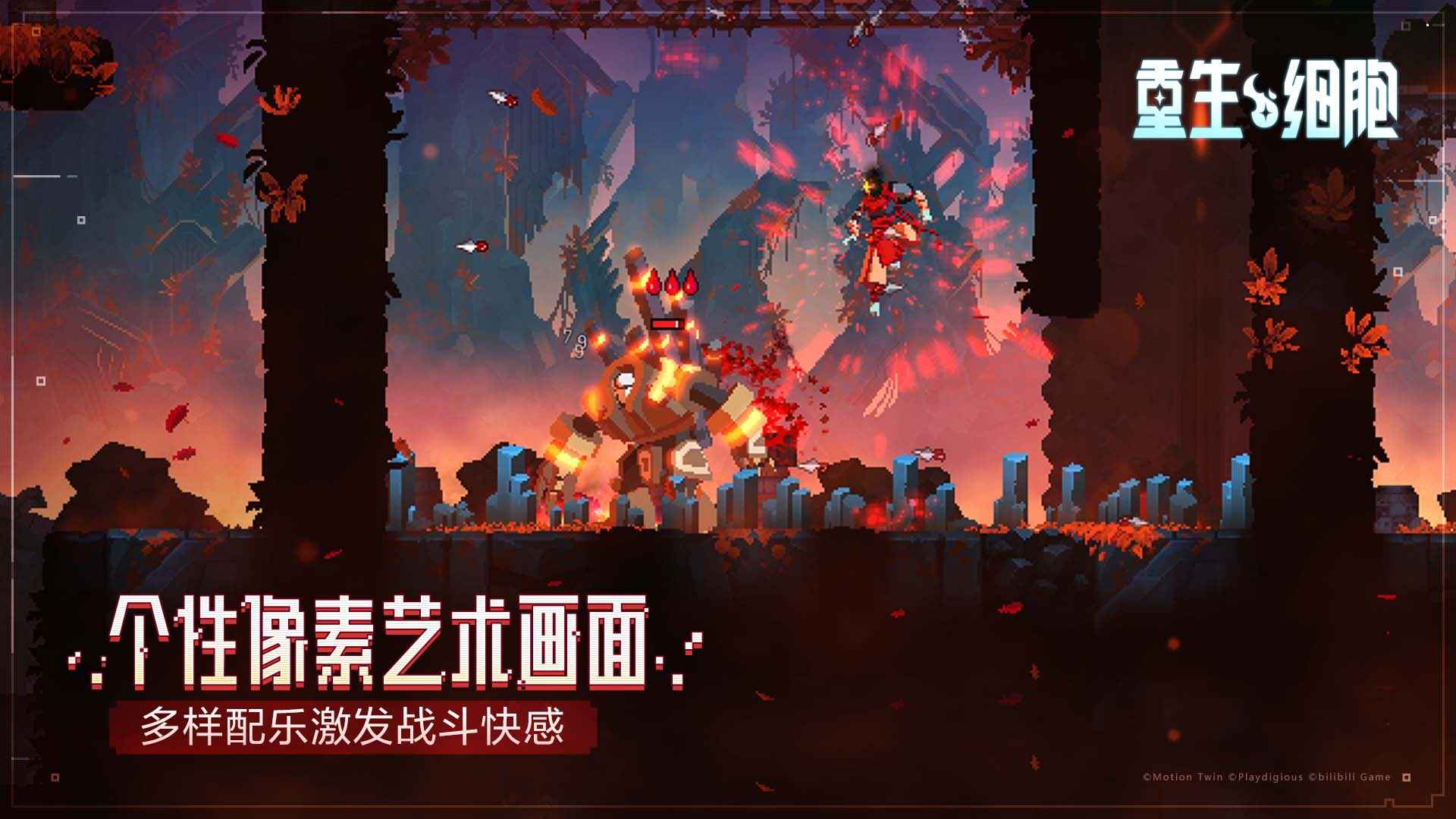 ����ϸ�����������ͼ1