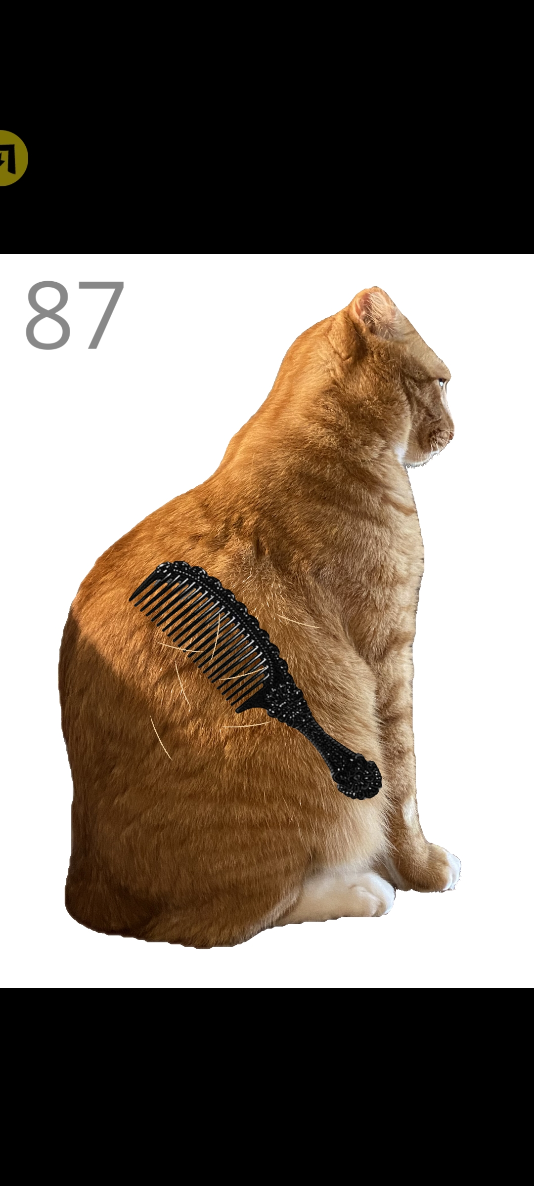 ��è��ë��ϷbrushJjaemu��ͼ3
