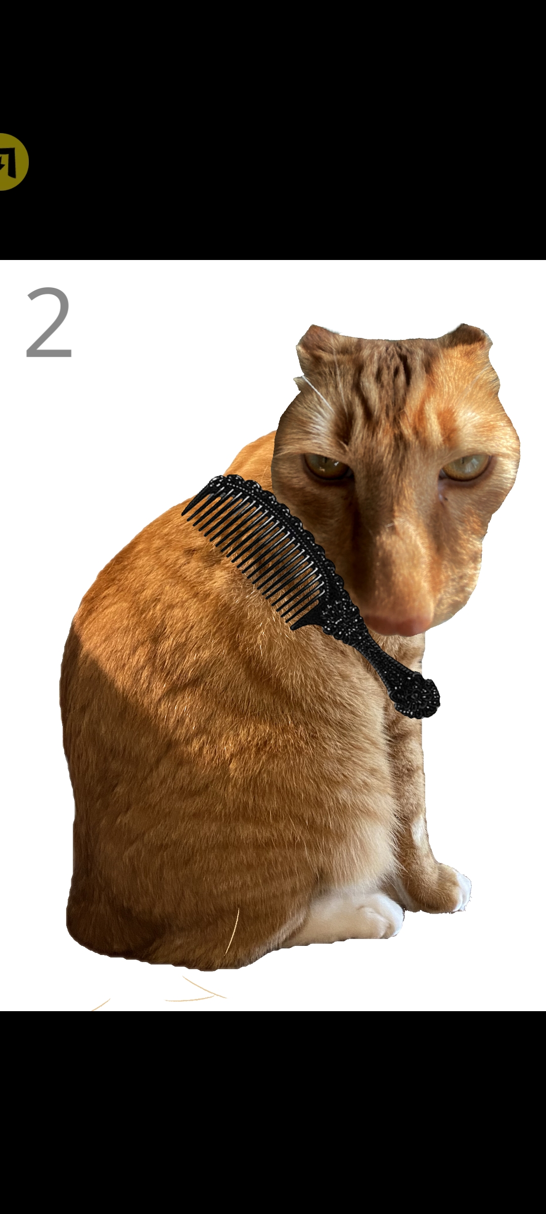 ��è��ë��ϷbrushJjaemu��ͼ2