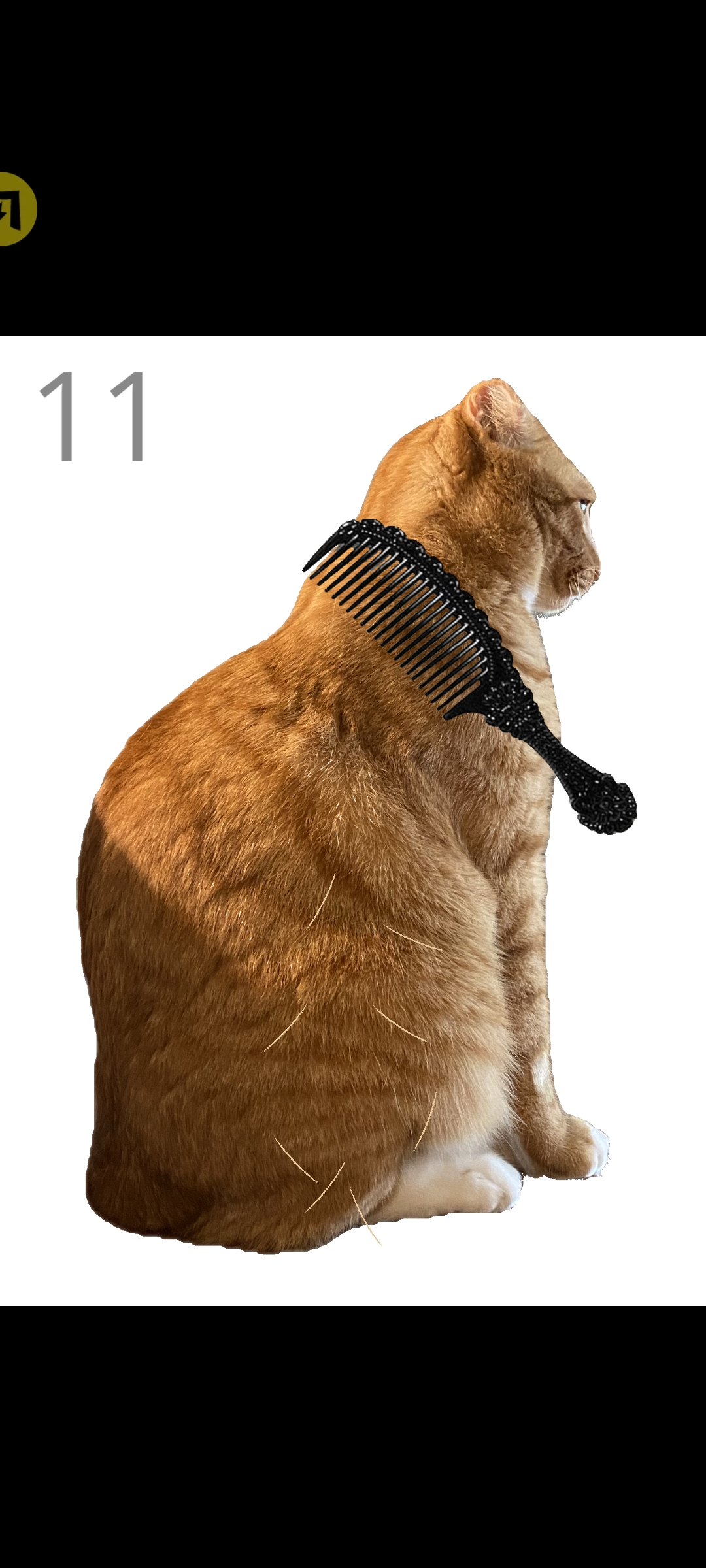 ��è��ë��ϷbrushJjaemu��ͼ1