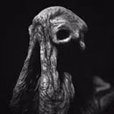 SARCOPH游戏联机版v2.52安卓最新版 SARCOPH游戏联机版v2.52安卓最新版