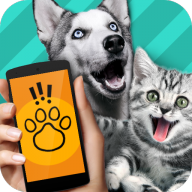 Pet Translator�������Է�����1.1 ��Ѱ�