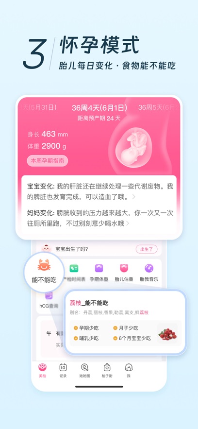 美柚app2026官方版截图