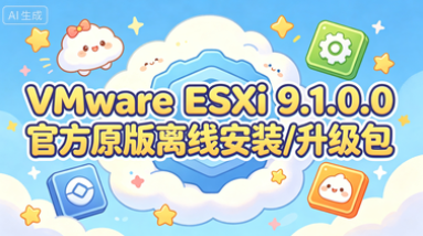 VMware ESXi 9.1.0.0�ٷ�ԭ�����߰�װ/������������� VMware ES