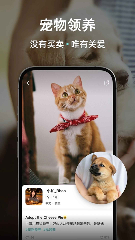 Wellcee�ⷿ��APP(Ψ����Ԣ)��ͼ