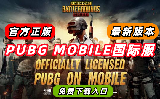 PUBG���ʷ�