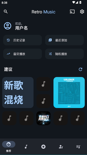 Retro Music Player中文版(高级版) Retro Music Player中文版(高级版)