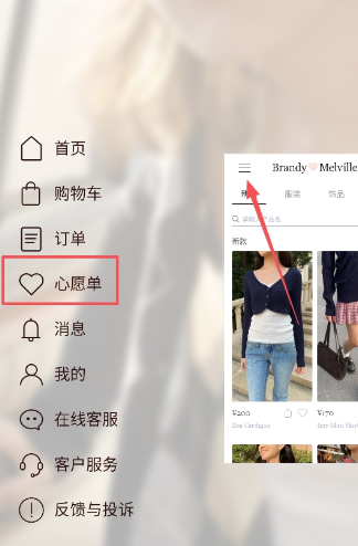 BrandyMelville�ٷ��̳��й��ٷ���