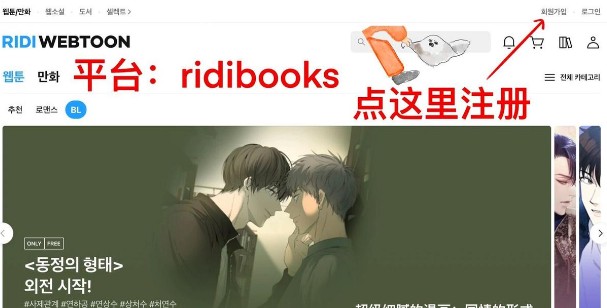 RidibooksС˵����ƽ̨�ٷ�����