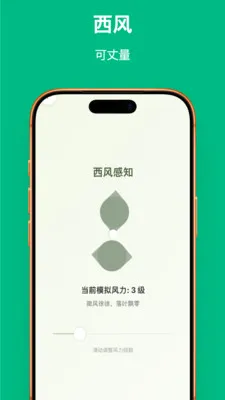 Ҷ��֪�������ֻ����ͼ