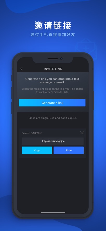 Steam Chat官方入口截图