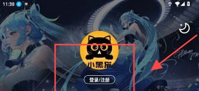 小黑猫