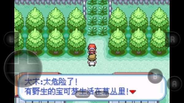 口袋妖怪萌娘火红版汉化截图