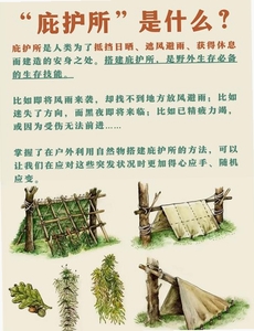 ǰ�ڻ���:�ӻ��� ����������