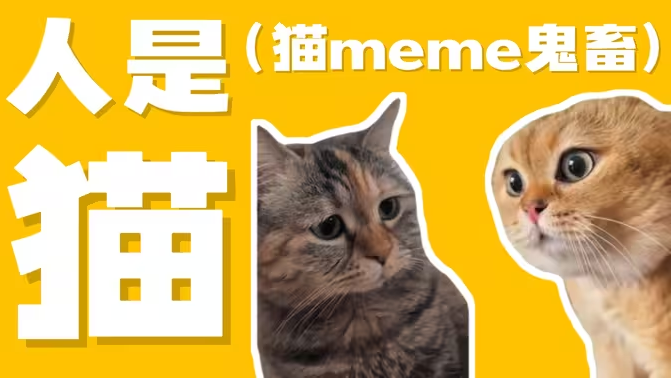 memeè��������