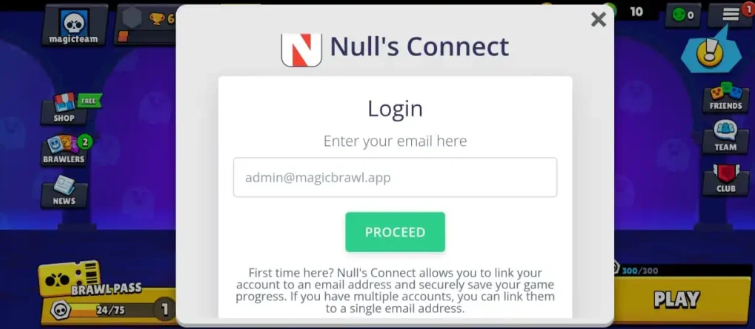��Ұ�Ҷ�˽�˷�Nulls Brawl���°汾