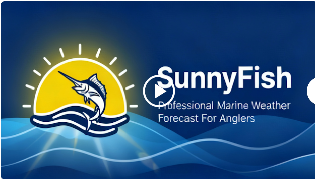 SunnyFish���������䰲׿��