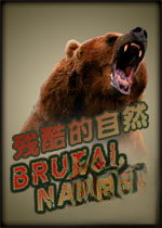 �п����Ȼv1.2.0 ���°汾