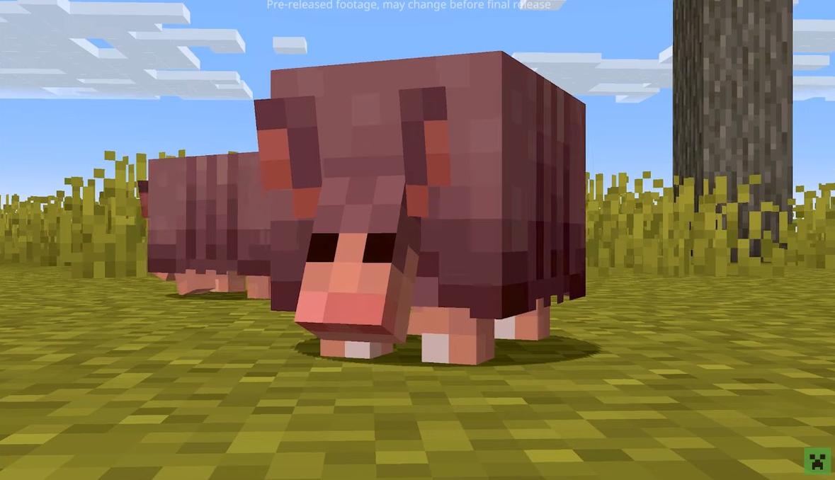 �ܵǵ������ͼ