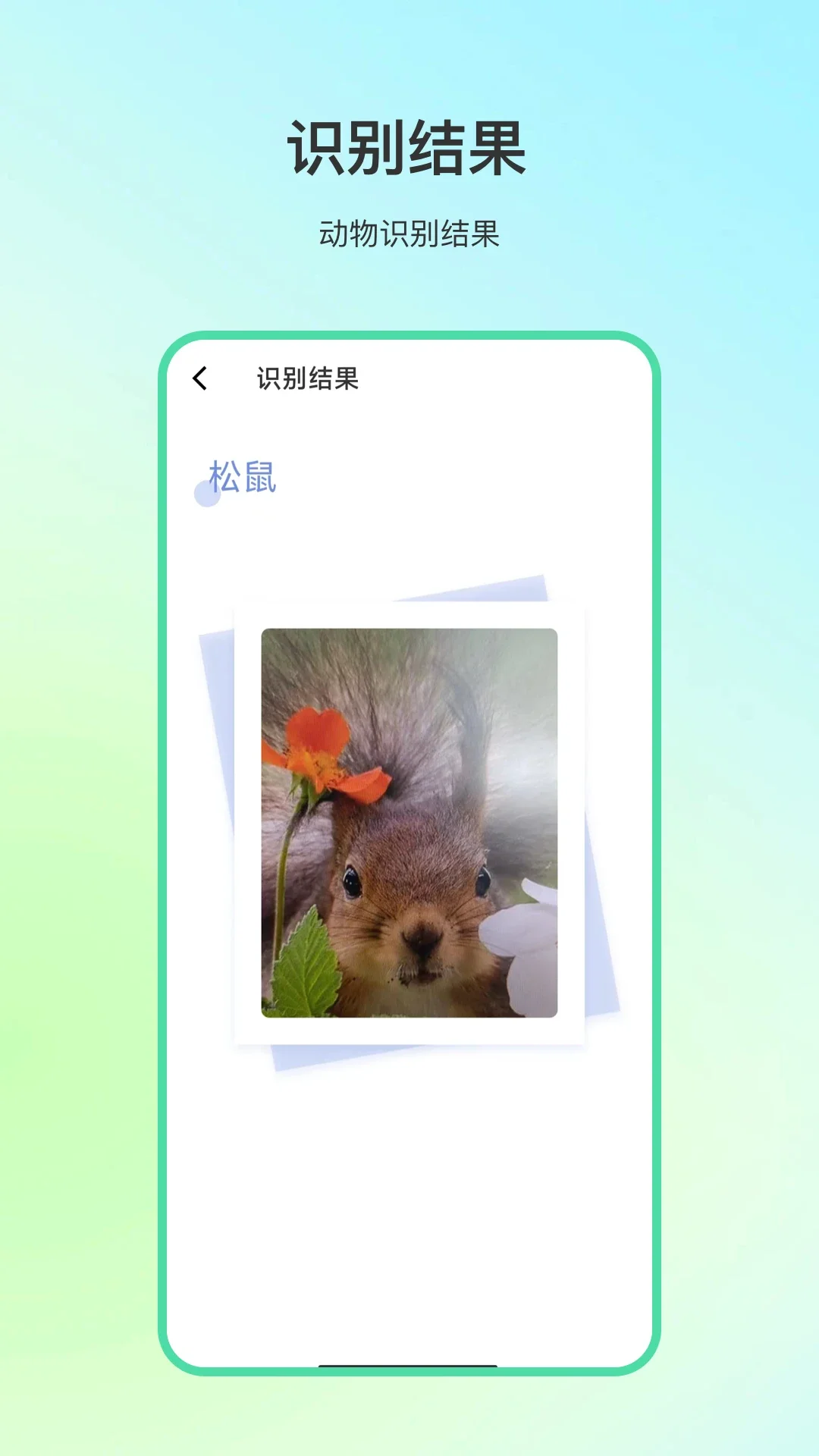 ����ٿ�app����ʶ�����ͼ2