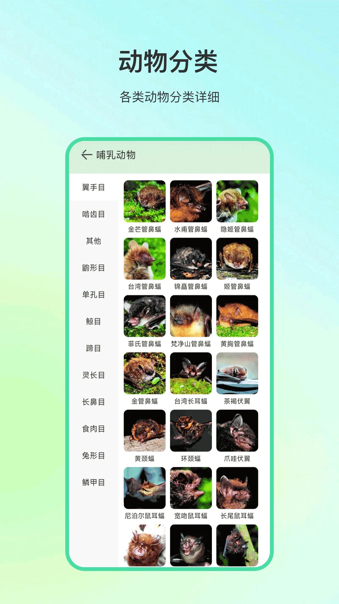 ����ٿ�app����ʶ�����ͼ1