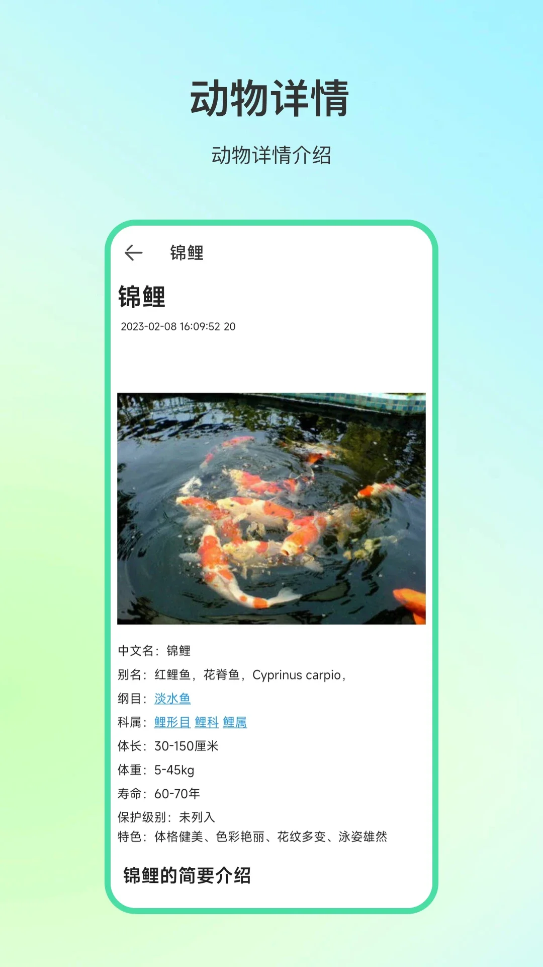 ����ٿ�app����ʶ�����ͼ3