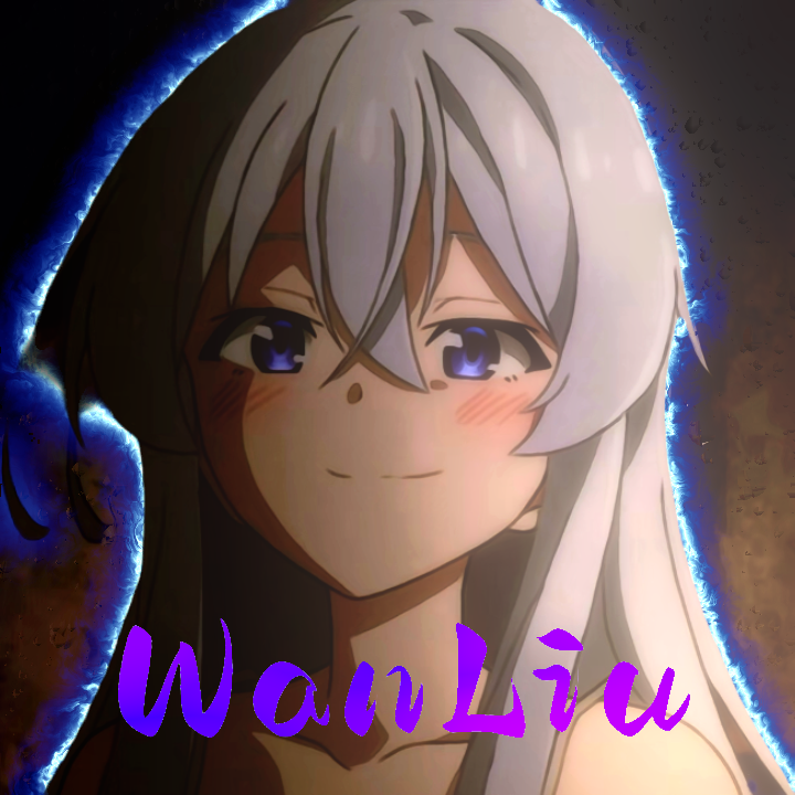 �����ܿ�WanLiu�����й���debug���������