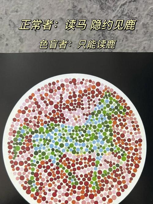色盲自测学习版-专业色觉检测工具 手机测试界面