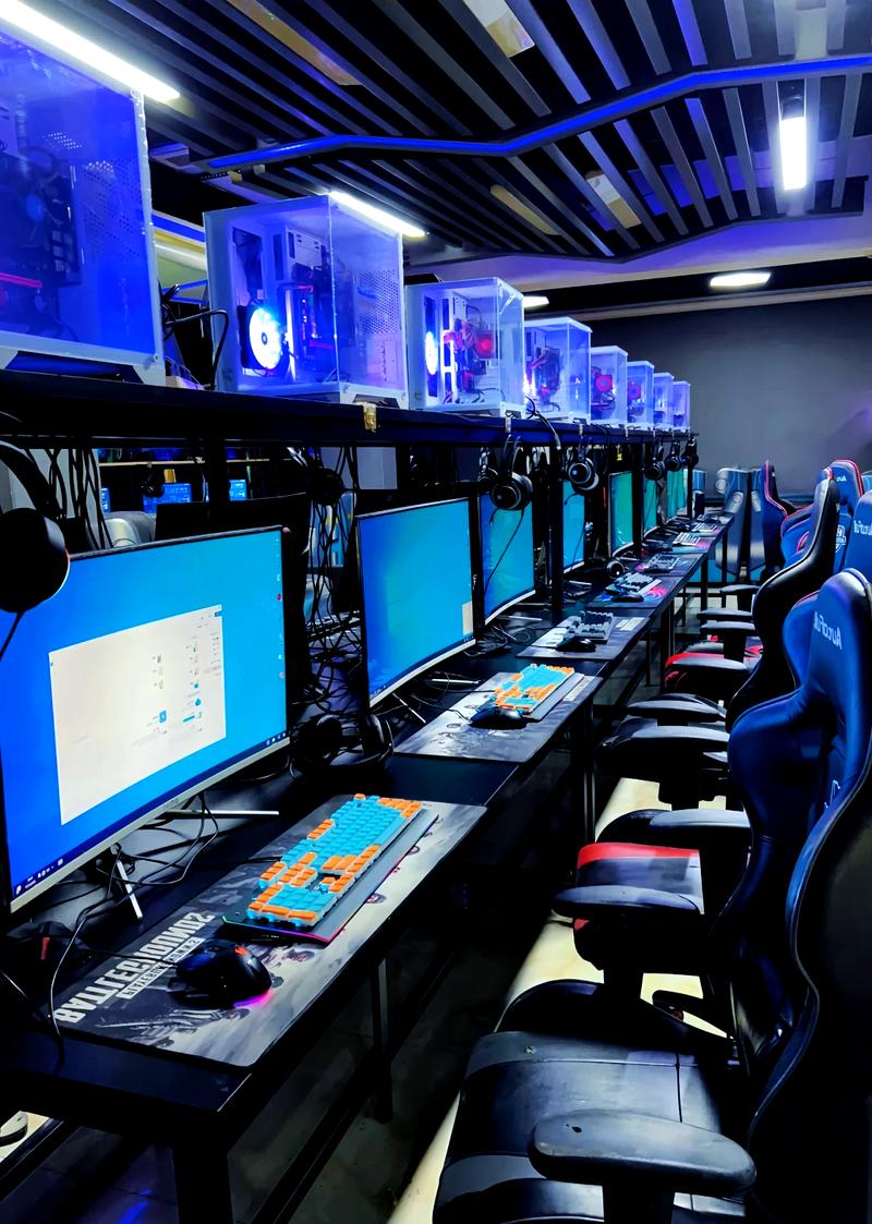 ����VIP������Ұ�-������Ȩ���ֽ�ͼ