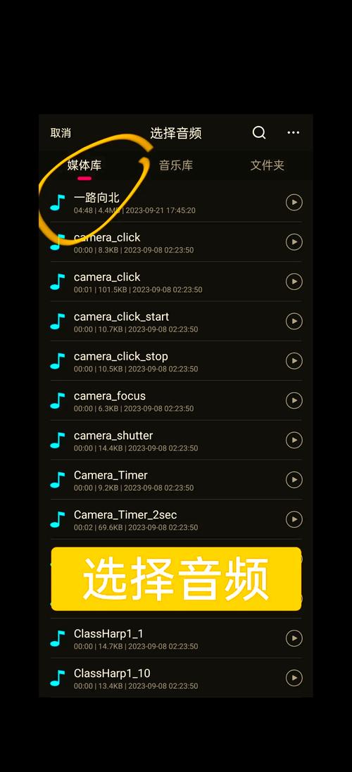 СҰ��Ƶ-רҵ��Ƶ�������� �������� ��������