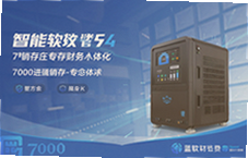 蓝软7000进销存财务一体化软件,智能企业管理专家系统
