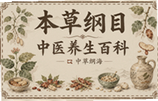 本草纲目中医养生百科指南,四季食疗调理秘籍